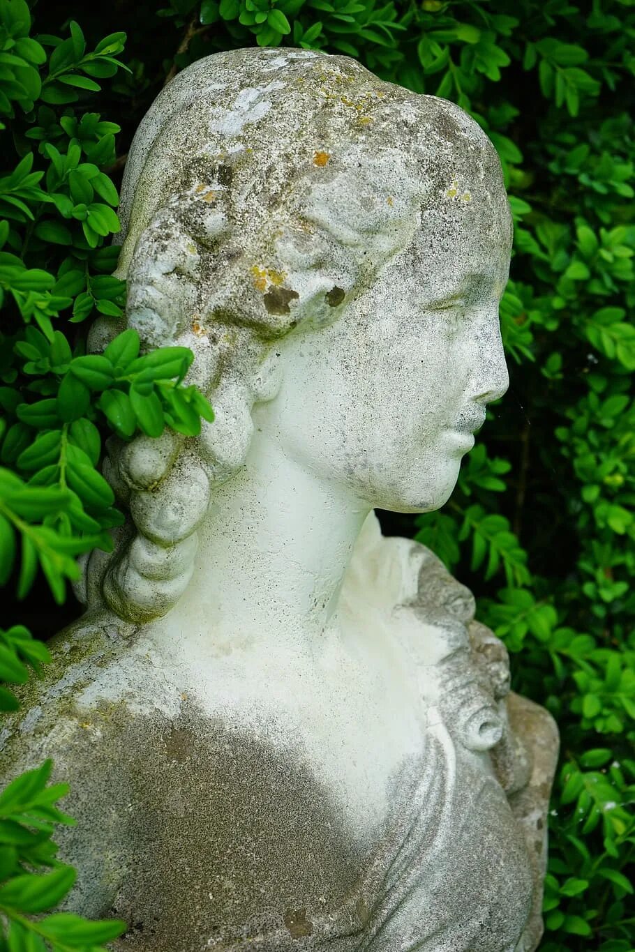 Stone woman. Каменный бюст. Скульптура лица. Каменная статуя женщины. Бюсты каменные женщин.