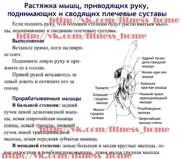 Боль в руке при поднятии и отведении. Боль в руке в плечевом суставе. Боль в плечевом суставе левой. Плечевой сустав боль при поднятии руки. Боль в предплечье причины.