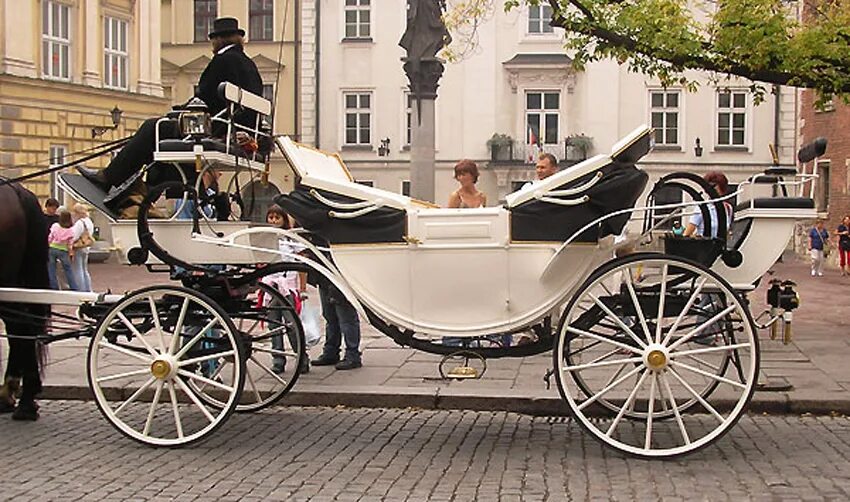 карета для лошадей михаила казенкина. фаэтон конный экипаж. фаэтон конная коляска. конный экипаж с открывающимся верхом. карета фаэтон для лошади.