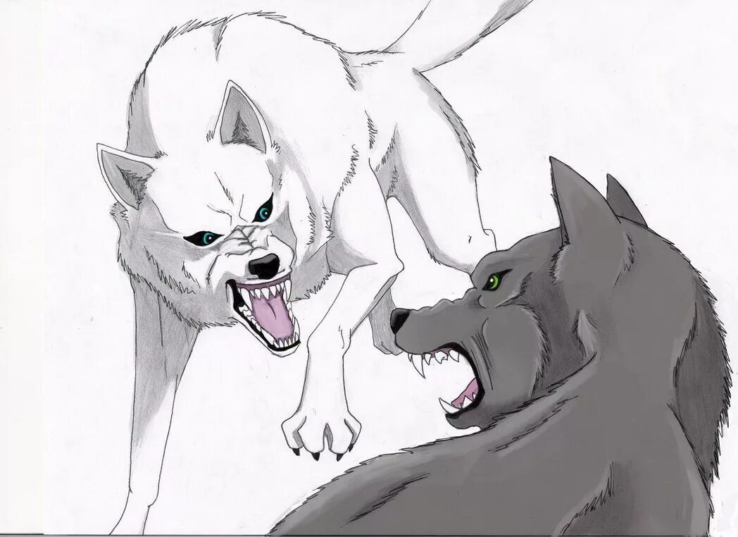 Злой пес 2. Волк для рисования драка. Рисунок волка для срисовки.