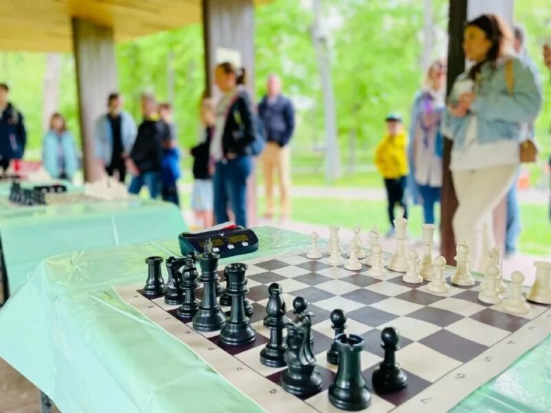 Шахматы 21. Миниатюрные шахматы. Шахматы 21. Шахматы 21. Чесс22 шахматы.