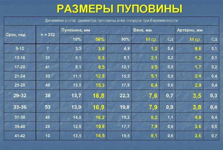Срок размеры. Размеры пуповины в норме. норма длины пуповины при беременности. нормальная длина пуповины.