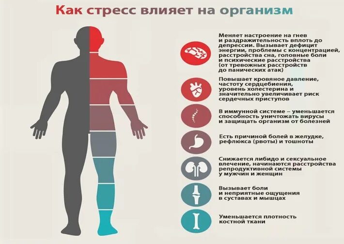 Заболевания от стресса. Заболевания на нервной почве. Стресс и болезни. Влияние стресса на организм. Болезни вызванные стрессом.