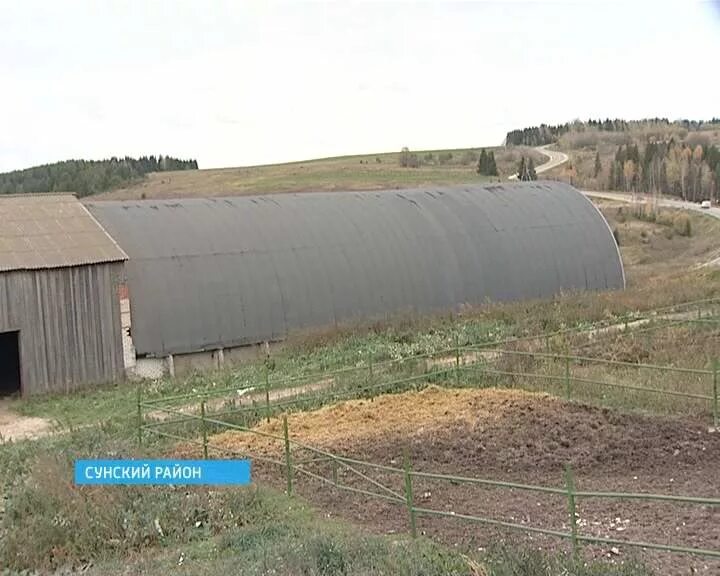 Спк большевик. Спк колхоз сунский. спк большевик кировская область сунский. колхоз большевик сунского района кировской области. спк колхоз большевик.