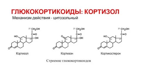 Выберите глюкокортикоиды