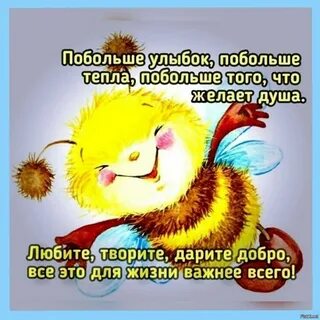 Видео прикольные с пожеланием добра