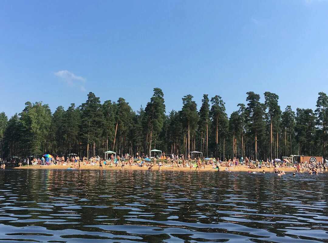 Озеро коркинское всеволожский. Коркинское озеро СПБ СПБ. Коркино озеро Ленинградская область. Коркинское озеро Ленинградская. Коркинское озеро пляж.