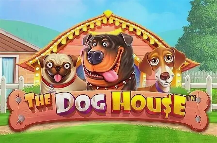 Dog House. Dog House Slot. Doghouse слот. Dog House Pragmatic Play. Dog house слот играть dog houses info