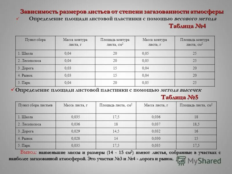 Определение площади листьев методом высечек. Площадь листа растения. Как измерить площадь листа растения. Площадь листовой поверхности. Площадь листовой пластинки формула.