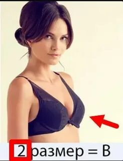 Жасырын камера секс туралы тыңшылық