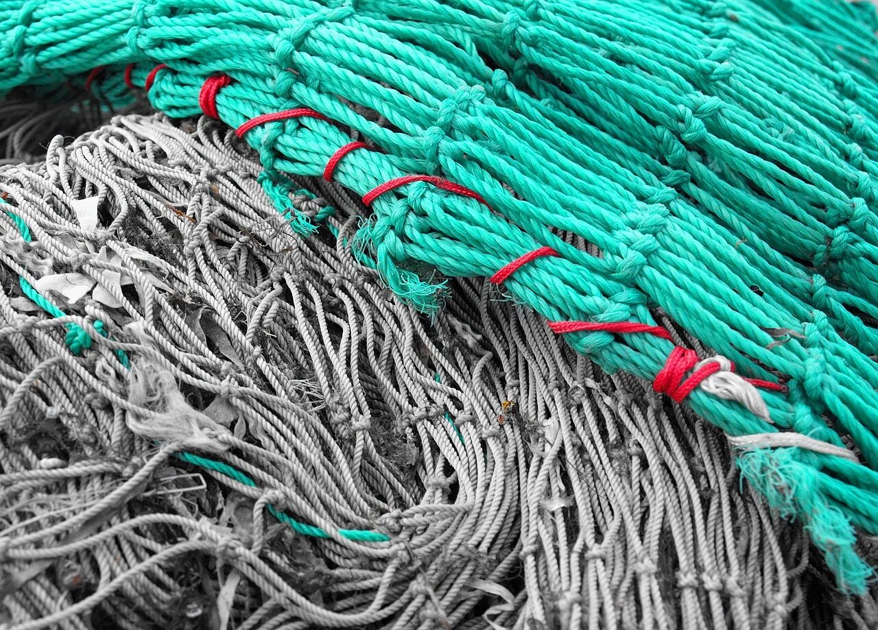 Network net