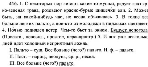 Русс яз 6 класс упр 416