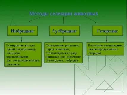 Метод скрещивания 8
