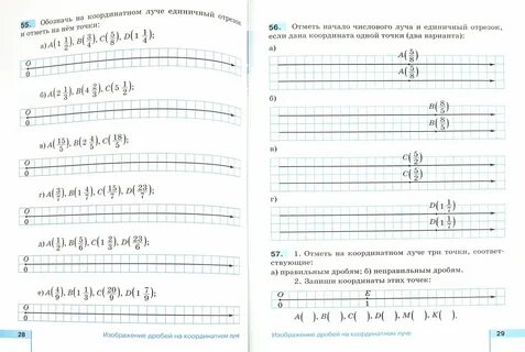 Рабочая тетрадь для математики 5 класс