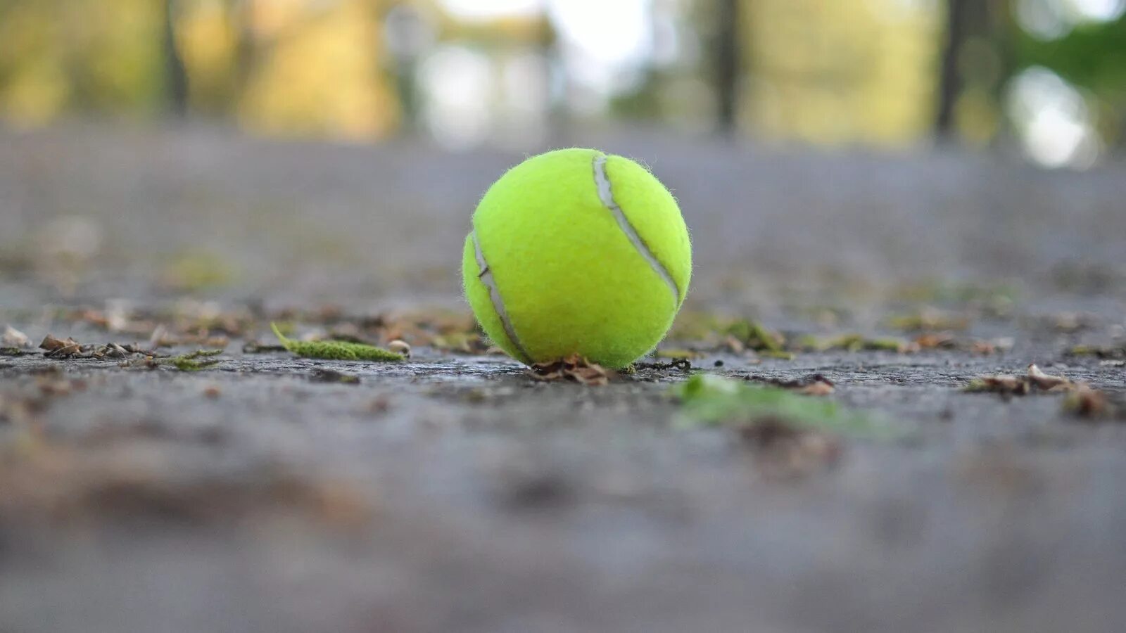 Теннисный мяч. Теннисный корт макро. Теннисный мяч на траве. Теннисный мяч крупно. Первый теннисный мяч