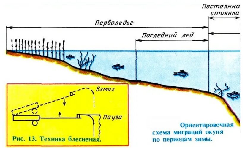 На какой глубине лещ