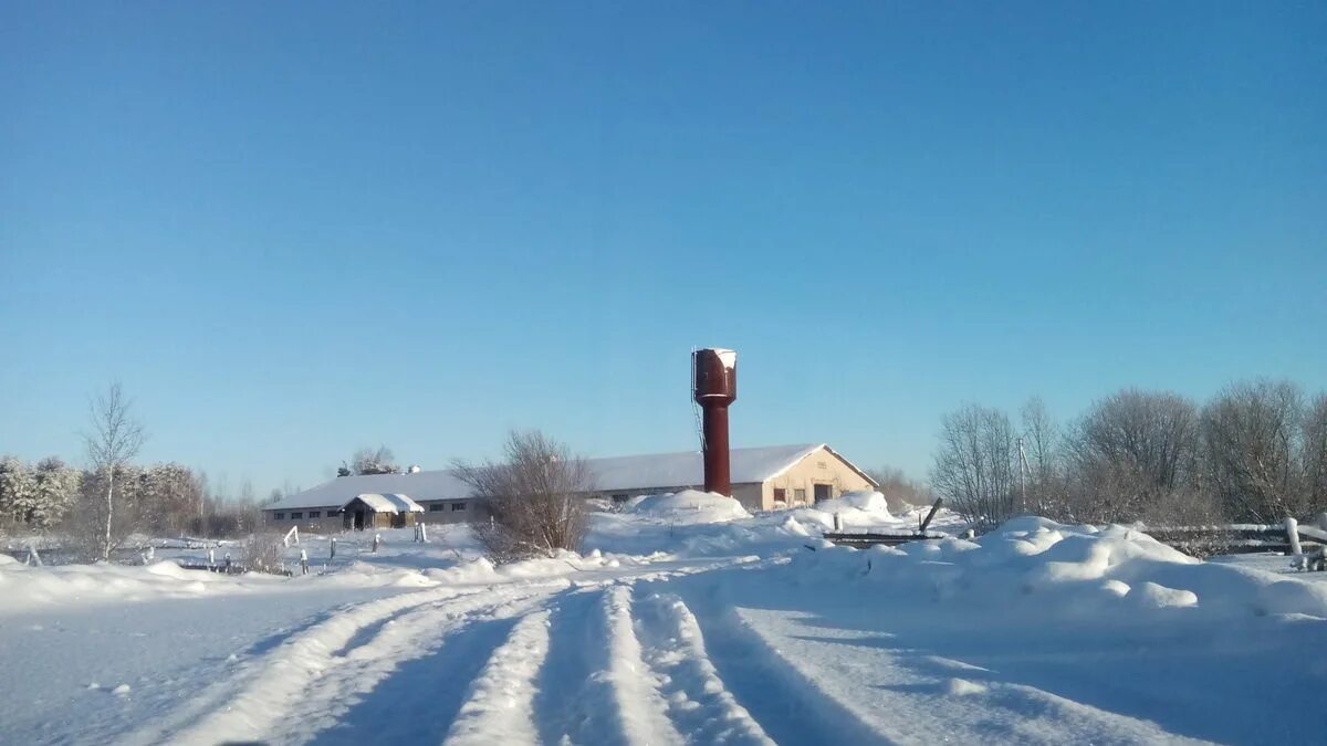 Погода бережное вологодской