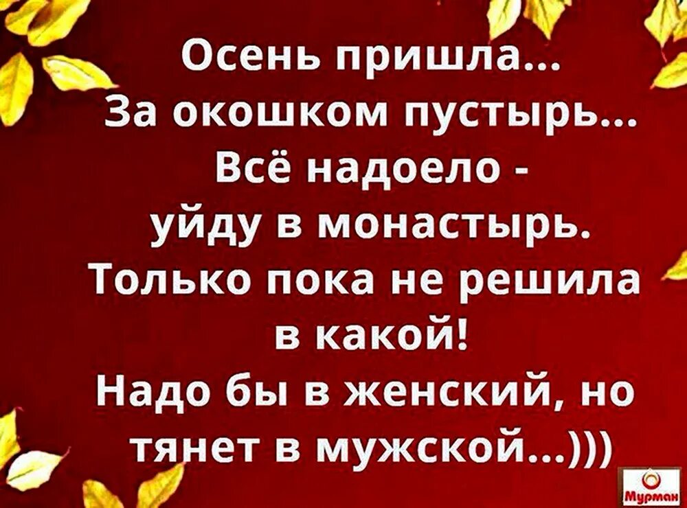 Пока не решила. Анекдот про проблемы. Пока не решила. Пока ты думаешь другие действуют. Пока ты думаешь мы зарабатываем.