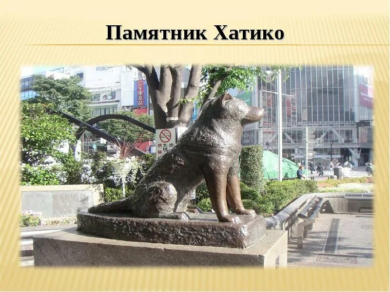 Статуя Хатико в Японии. Сибуя Токио памятник Хатико. Памятник собаке Хатико в Японии. Памятник собаке Хатико история. Хатико балаково магазин техники. Статуя Хатико в Японии. Сибуя Токио памятник Хатико. Памятник собаке Хатико в Японии. Памятник собаке Хатико история.