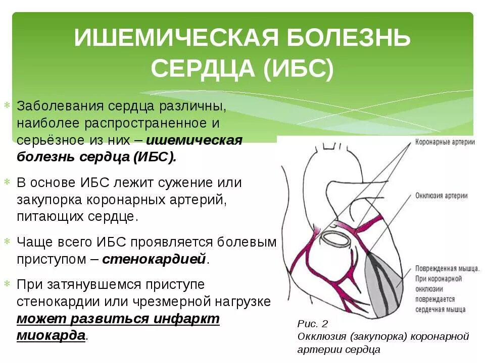 Легкие сердечные заболевания. Болезнь сердца название. Перечень болезней сердца. Сердечно сосудистые заболевания названия.