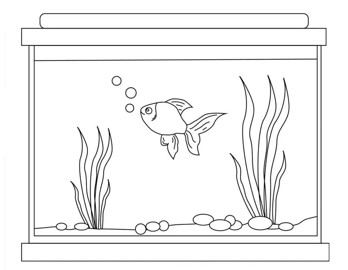 Раскраска аквариум с рыбками. Аквариум раскраска для детей. Раскраска аквариум с рыбками для детей. Раскраска рыбы в аквариуме.