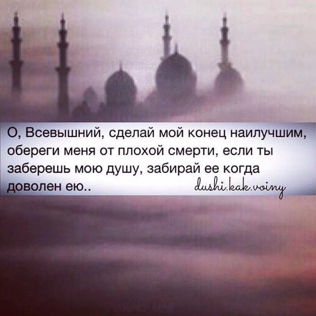 Как попросить всевышнего. Цитаты про всевышнего. цитаты от всевышнего. высказывания о всевышнем. афоризм про всевышнего.
