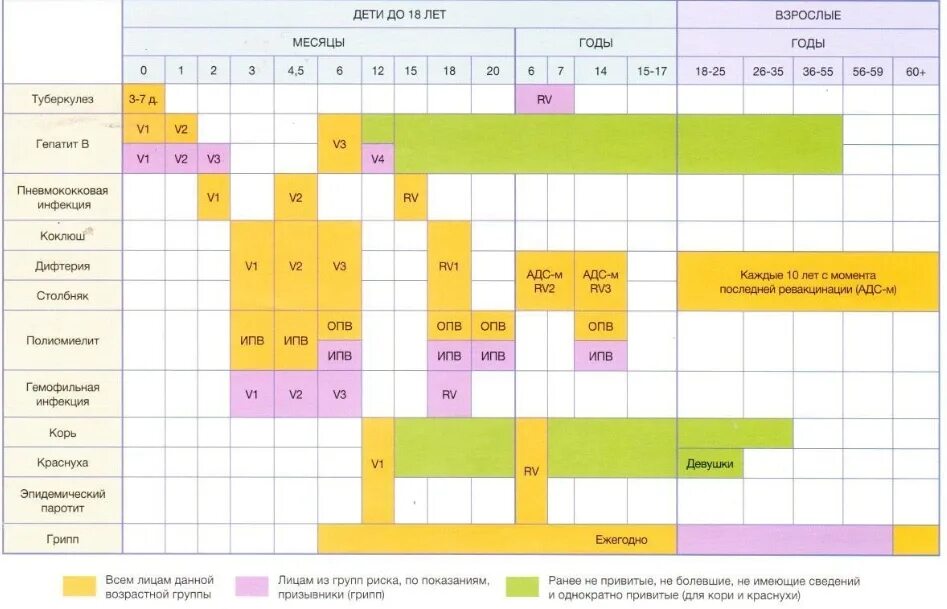 Календарь прививок б. Схема вакцинации национальный календарь прививок. Национальный календарный план прививок. Календарь профилактических прививок корь. Менактра календарь прививок.