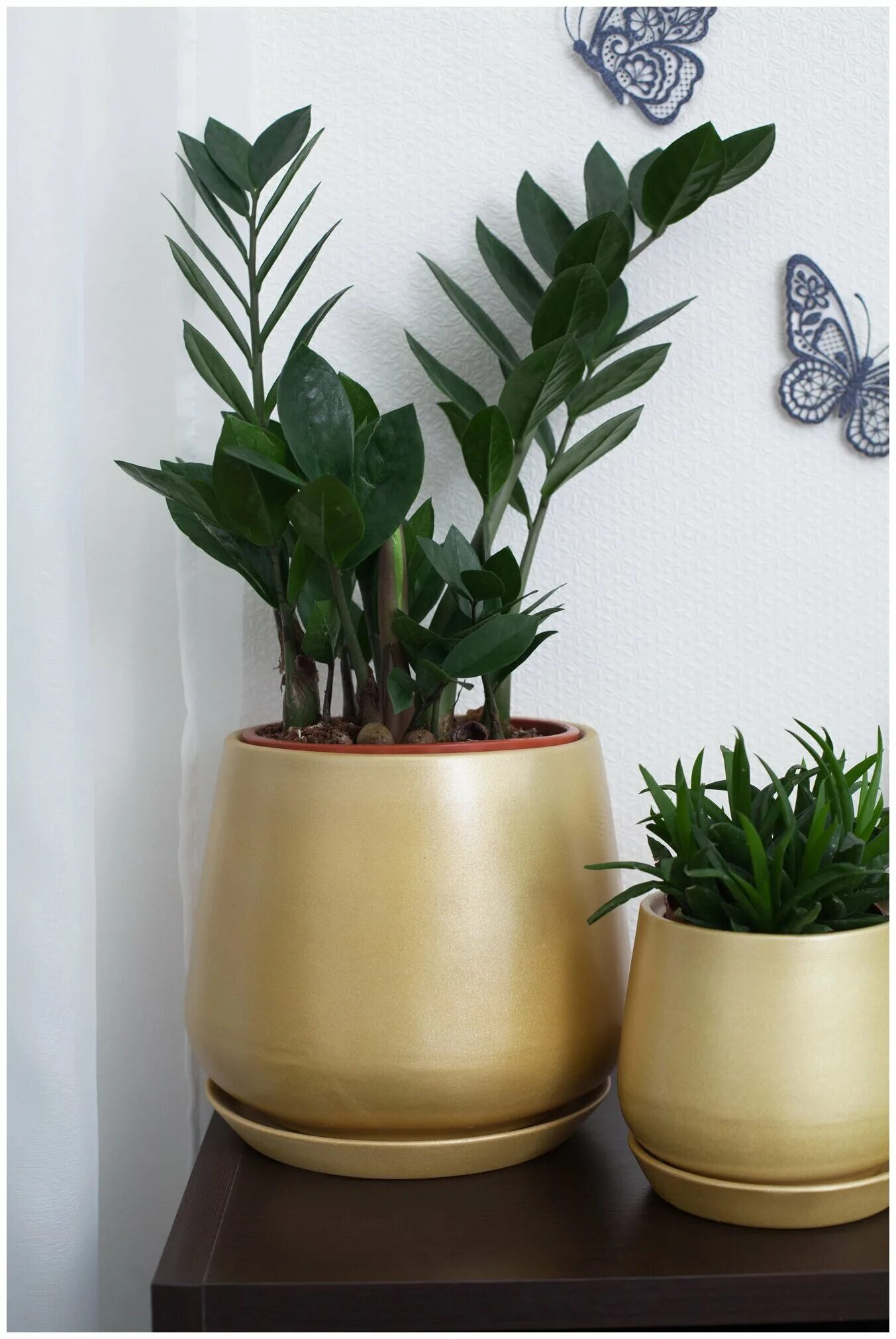 горшок цветочный zara home. кашпо ikea чиафрен. кашпо латунь. золотые горшки для цветов. горшок 205.