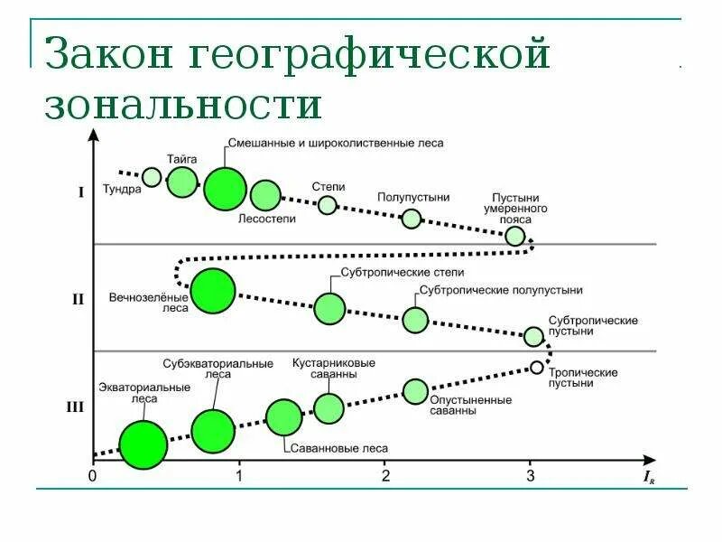 Какова причина зональности. Закон географической зональности. Зональность экосистем. Географическая зональность. Докучаев закон географической зональности.