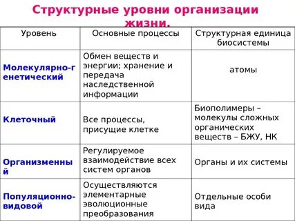 Какие объекты относятся к молекулярному уровню