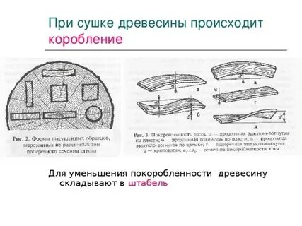 Сушка древесины бывает