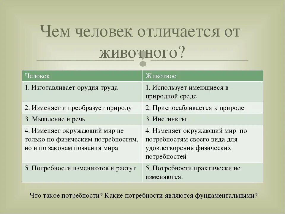 Человека от животного отличает особенность. Отличие человека от животного Обществознание кратко. Чем человек отличается от животного 4 класс окружающий мир. Отличие человека от животного Обществознание 8 класс. Чеммгтличается человек от животного.