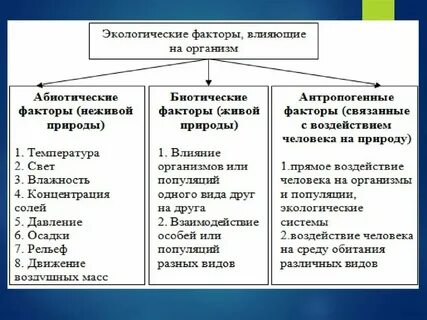 Какой из представленных ниже факторов
