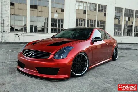 Red 35