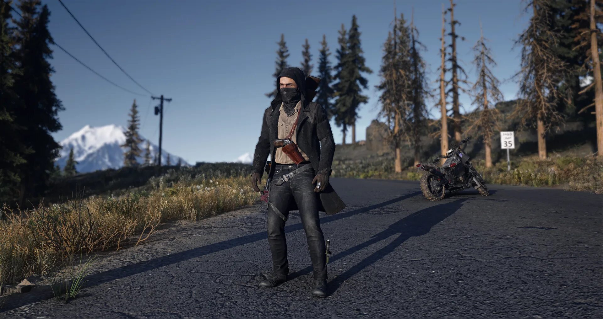 Мод для игры day. Days gone. days gone роуч. days gone моды nexus. days gone моды.