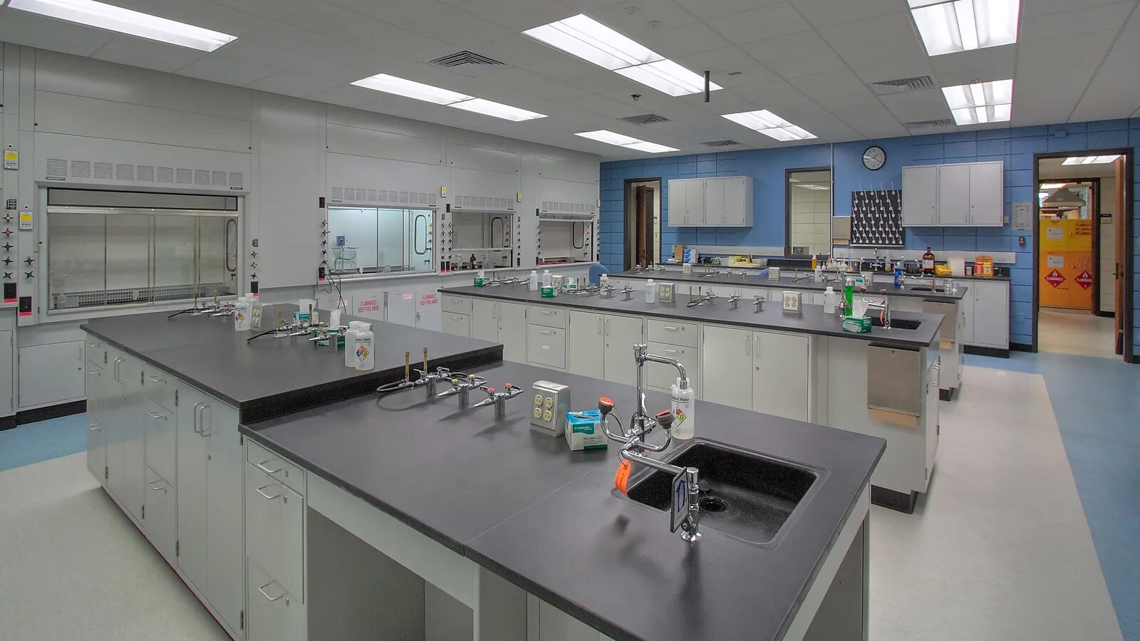 Labs bma