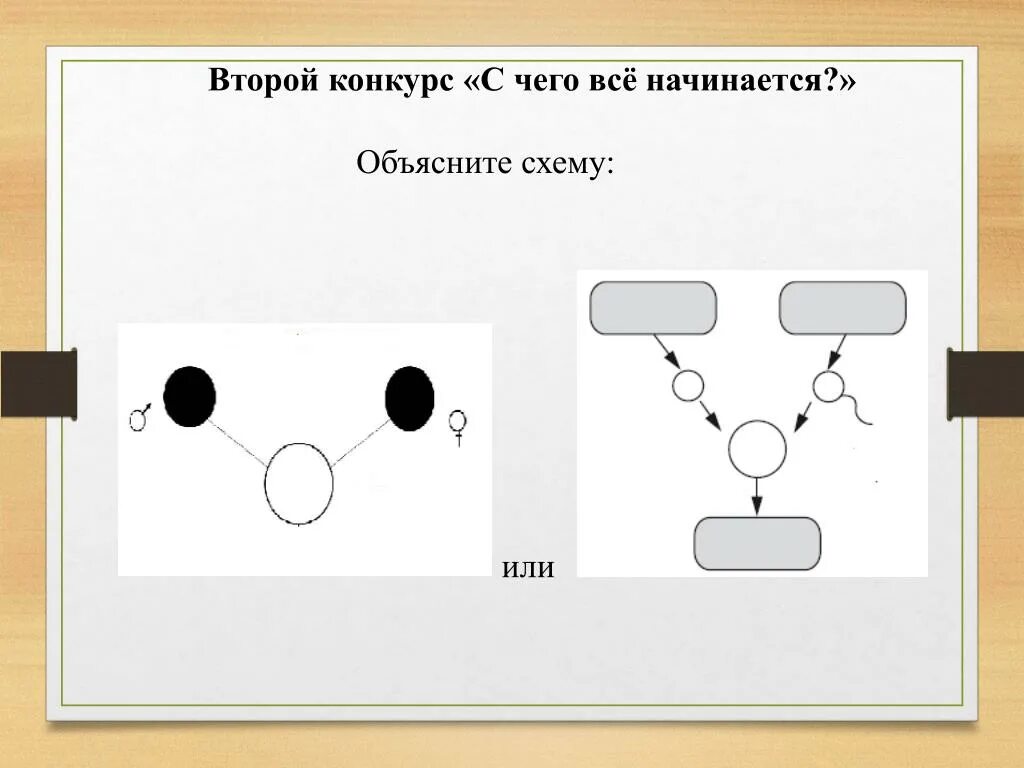 Заполните схему и объясните различия. Схема объяснение. Объясняет схему. Схема объяснения игры. Рест объяснения схемы.