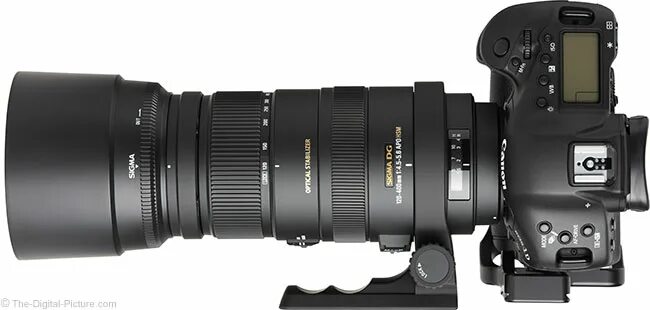 Sigma af 400mm f/5.6 apo. Canon Sigma 120-400. Sigma af 120-400mm f/4.5-5.6 apo DG os HSM Nikon. Sigma af 120-400mm f/4.5-5.6 apo DG os HSM Canon EF.