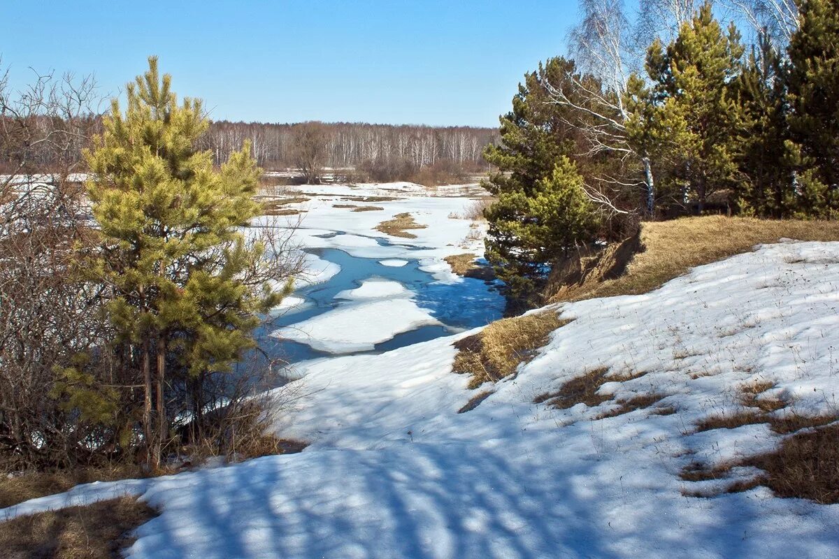 Первые проталины в лесу. Весенние ручьи. Март природа.