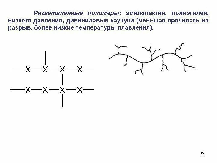 Разветвленная сеть каналов и полостей. Разветвленные полимеры примеры. разветвленная структура полимеров. линейные разветвленные и сшитые полимеры. разветвленные полимеры формула.