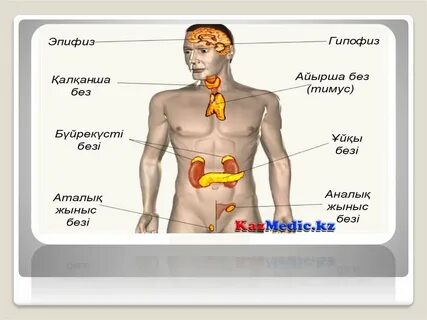 Азиат әйелмен автобуста секс және топтық видео
