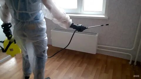 Центр дератизации