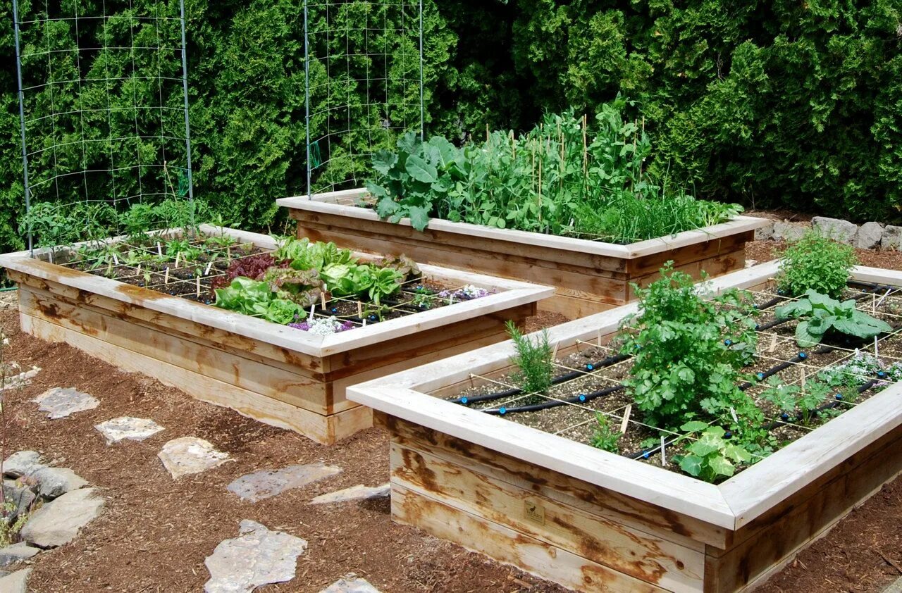 Build a garden