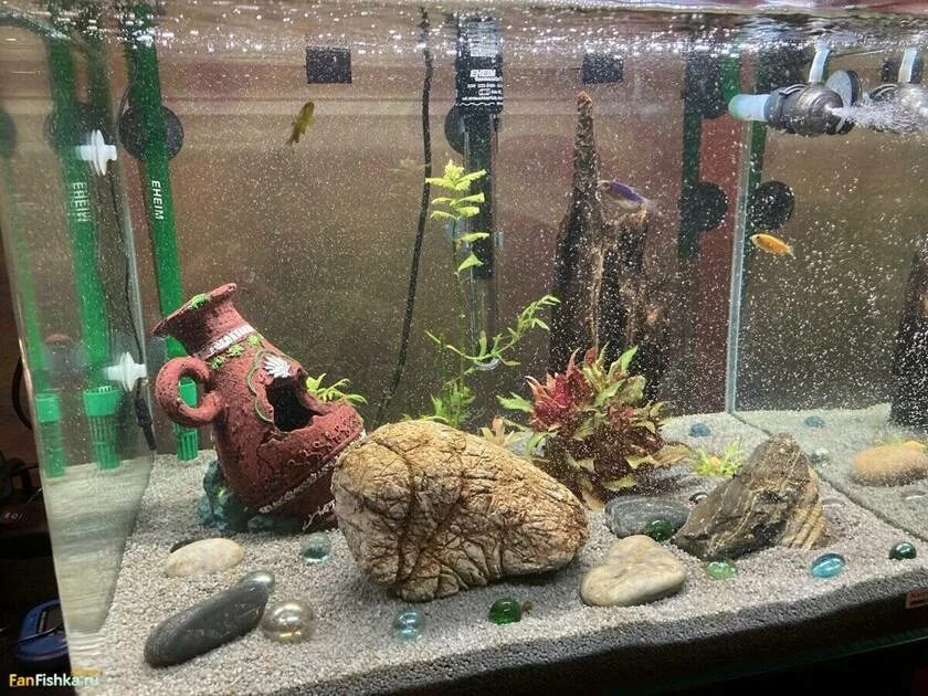 Объемный фон для аквариума. Бурые пятна на стенках аквариума. Объемный фон для аквариума. Задник для аквариума. Коллаж аквариум.