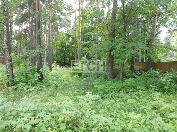 поселок малаховка. малаховка генеральские дачи. пансионат малаховка для престарелых. малаховка улица тургенева. пгт малаховка щепкина 161.