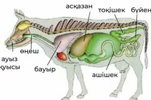 Қолмен салынған және 3D порно
