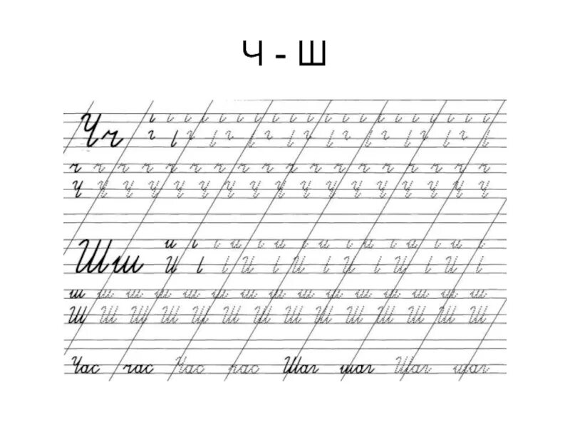 Как пишется буква ш. Тренажёр написания буквы ш. Прописи буква ч. Прописи буквы ч, ш. Прописи буква ш.