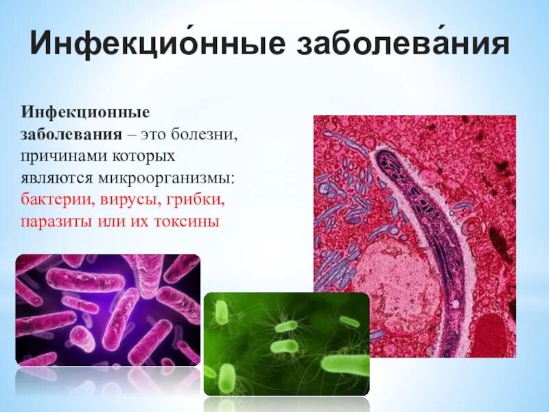 Заразные инфекционные заболевания. Вирусы бактерии паразиты. «Инфекционные заболевани. Микроорганизмы паразиты. Инфекционные заболевания вирусы и бактерии.