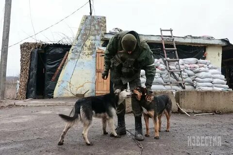 Погода в трехизбенке