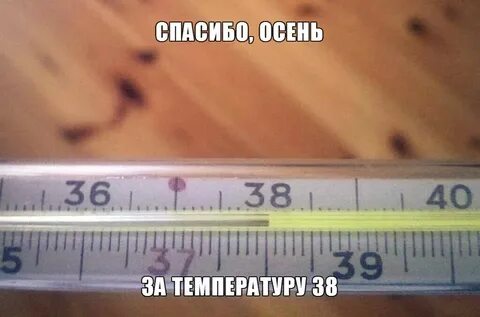 Температура прикол